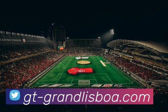 澳门新葡京娱乐平台生态图